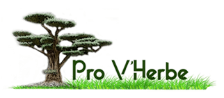 Pro V'Herbe